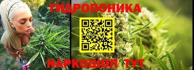 мескалин Можга