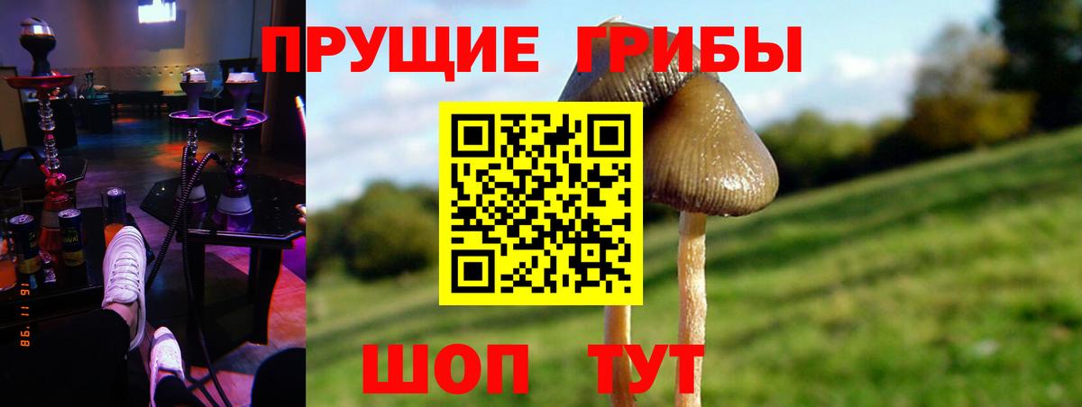 Галлюциногенные грибы мицелий Спасск-Дальний